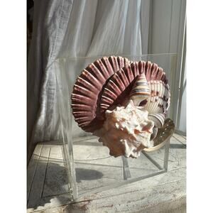 Clear Acrylic Tissue Box Cover Holder Sea Shells vintage 6” marine nautical